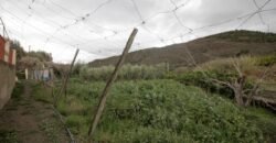 Cortijo con terreno de 5.000 m2 en Nacimiento.