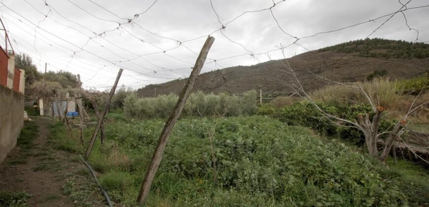 Cortijo con terreno de 5.000 m2 en Nacimiento.