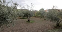 Cortijo con terreno de 5.000 m2 en Nacimiento.