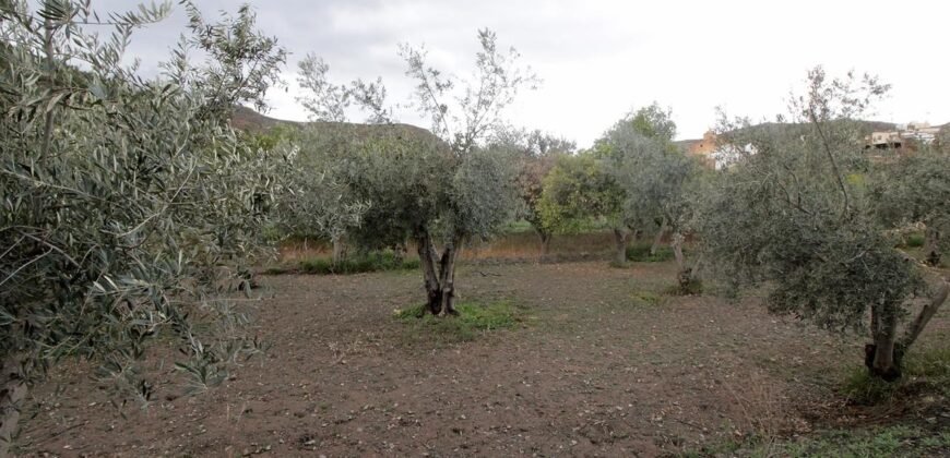 Cortijo con terreno de 5.000 m2 en Nacimiento.